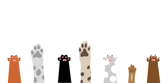 Scents Your Pets Will Love & Hate