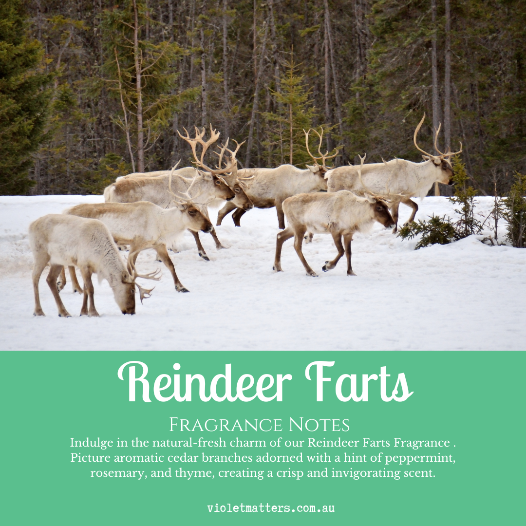 Limited Edition: Reindeer Farts - Eco Soy Wax Melt