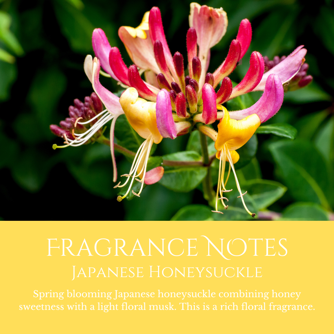 Hummingbird: Japanese Honeysuckle - Eco Soy Wax Melt