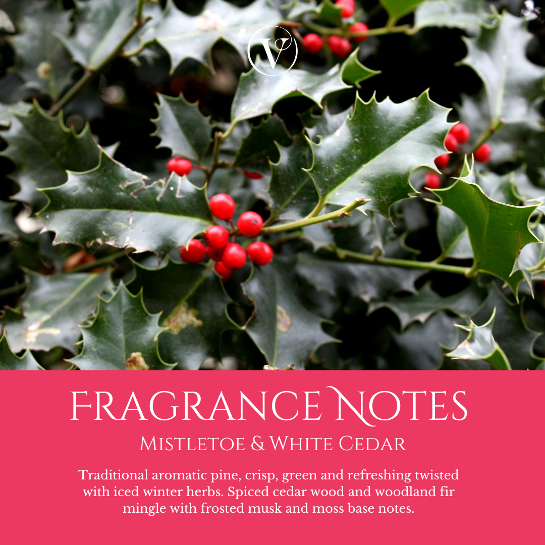 Christmas Melt Melody: Eco Soy Christmas Wax Melt
