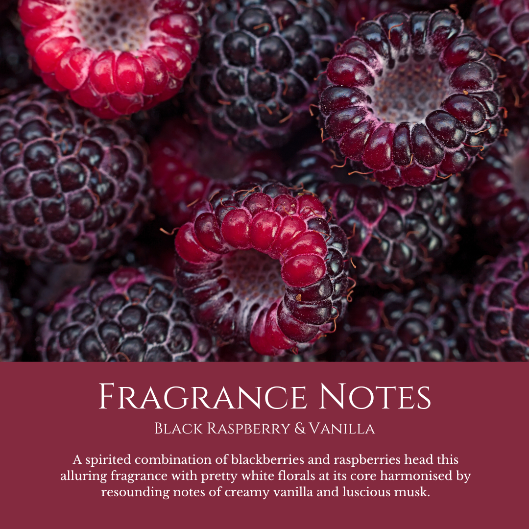 Roadtrips & Rodeos: Black Raspberry & Vanilla - Eco Soy Wax Melt Tin