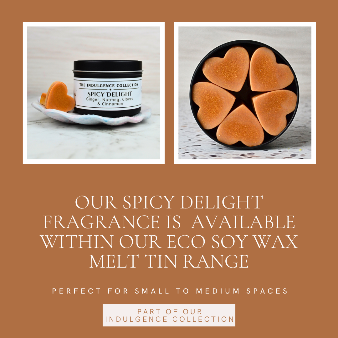 Spicy Delight: Ginger, Nutmeg, Cloves & Cinnamon - Eco Soy Wax Melt Tin