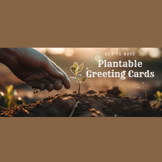 DIY Plantable Greeting Cards for Every Occasion