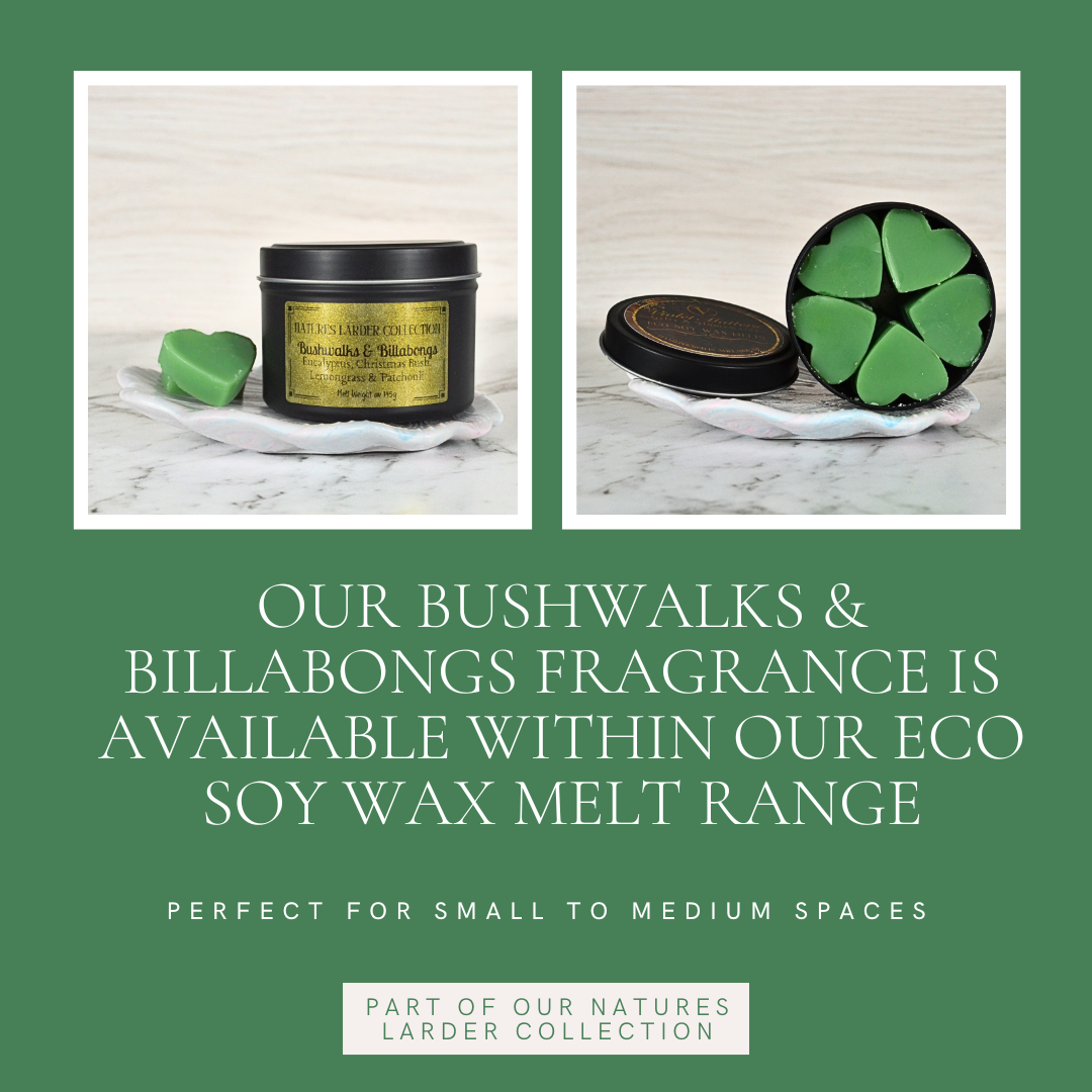 Bushwalks & Billabongs: Eucalyptus, Christmas Bush, Patchouli & Lemongrass - Eco Soy Wax Melt Tin