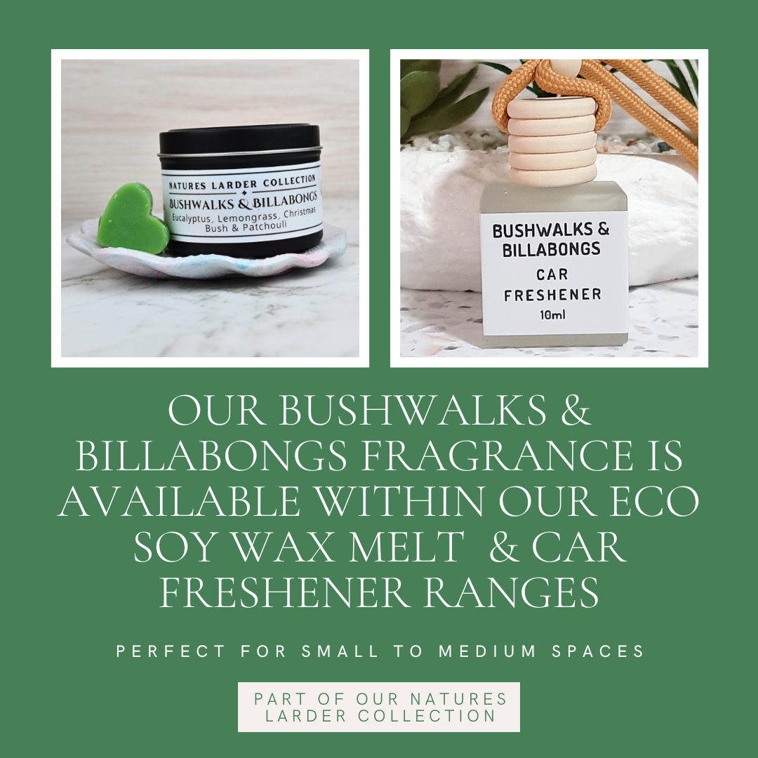 Bushwalks & Billabongs: Eucalyptus, Christmas Bush, Patchouli & Lemongrass - Eco Soy Wax Melt Tin