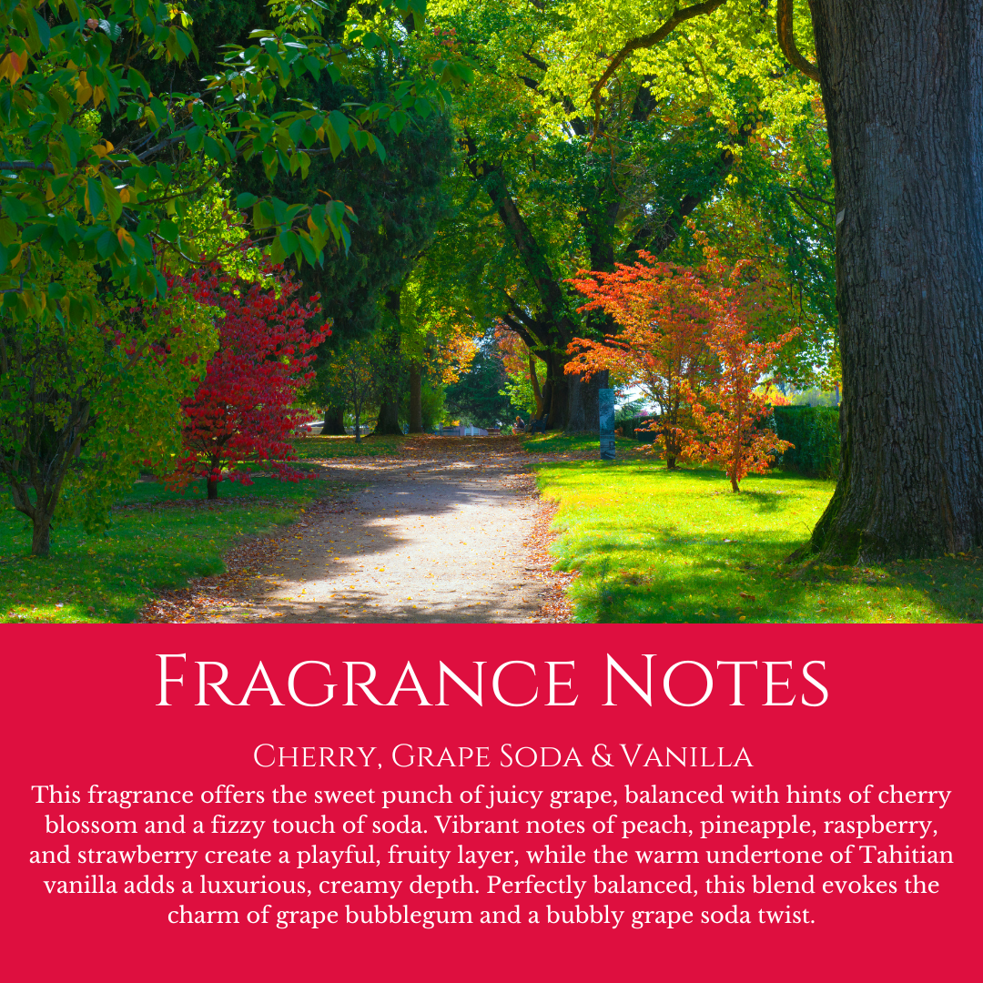 Cook Park Picnics: Cherry, Grape Soda and Vanilla - 100ml Room Diffuser