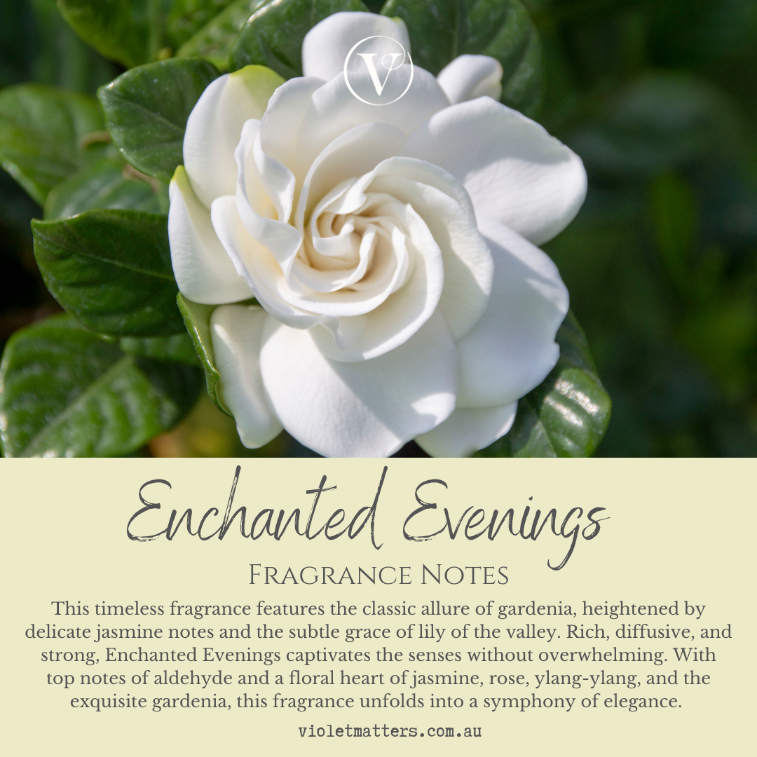 Enchanted Evenings - Gardenia and Jasmine Luxury Room Diffuser