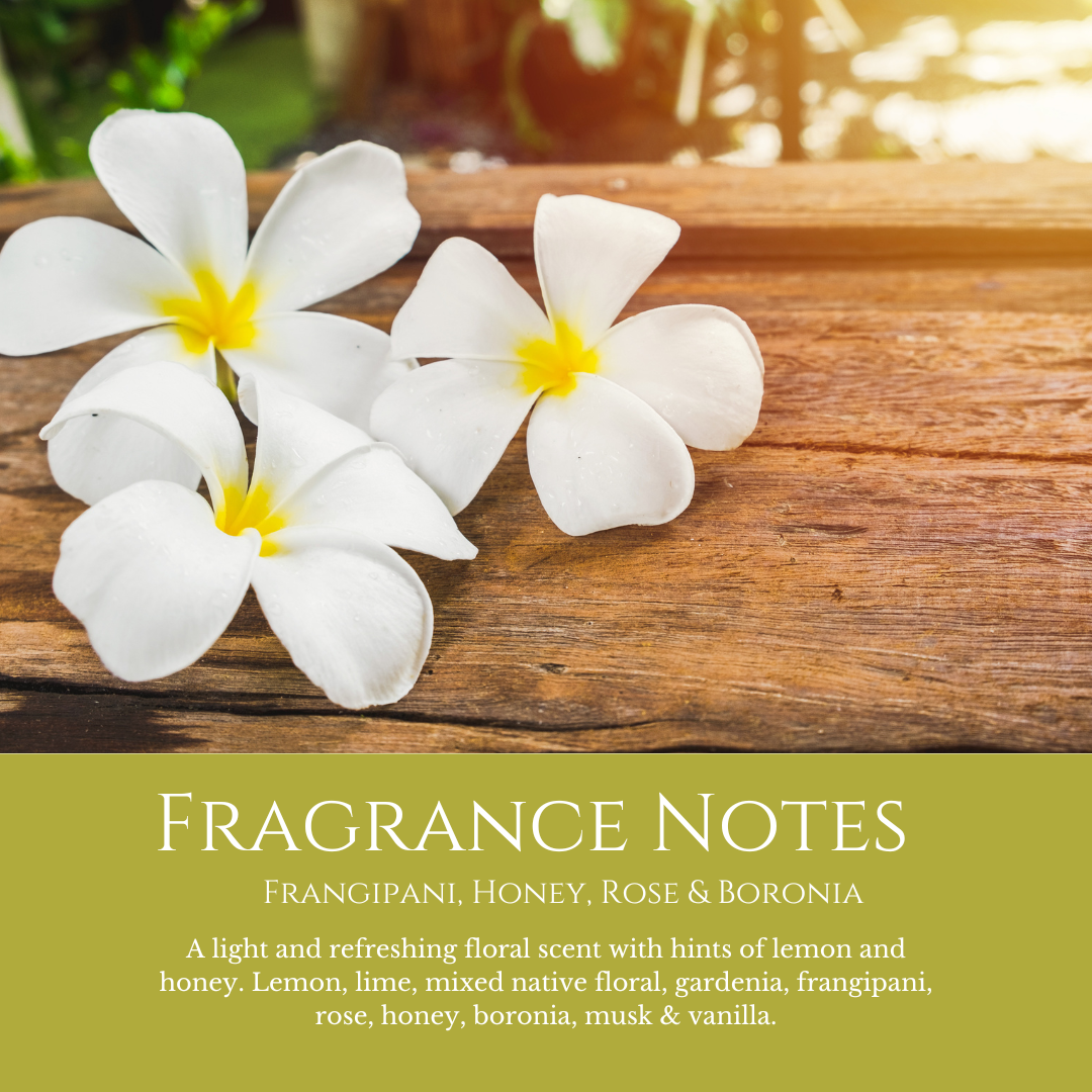 Daintree Dreams: Frangipani, Honey, Rose & Boronia - Car Freshener