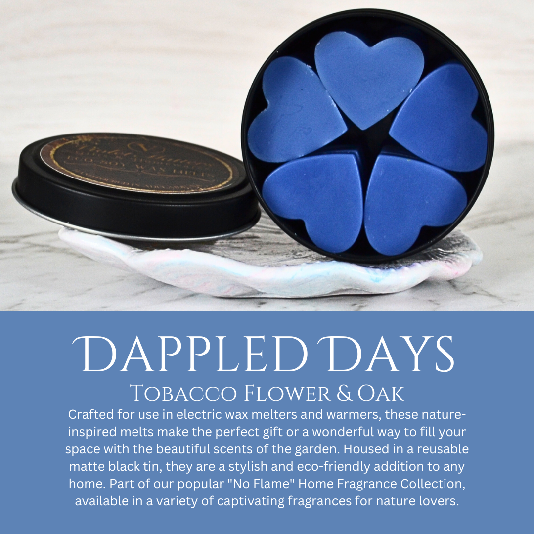 Dappled Days: Tobacco Flowers & Oak - Eco Soy Wax Melt Tin