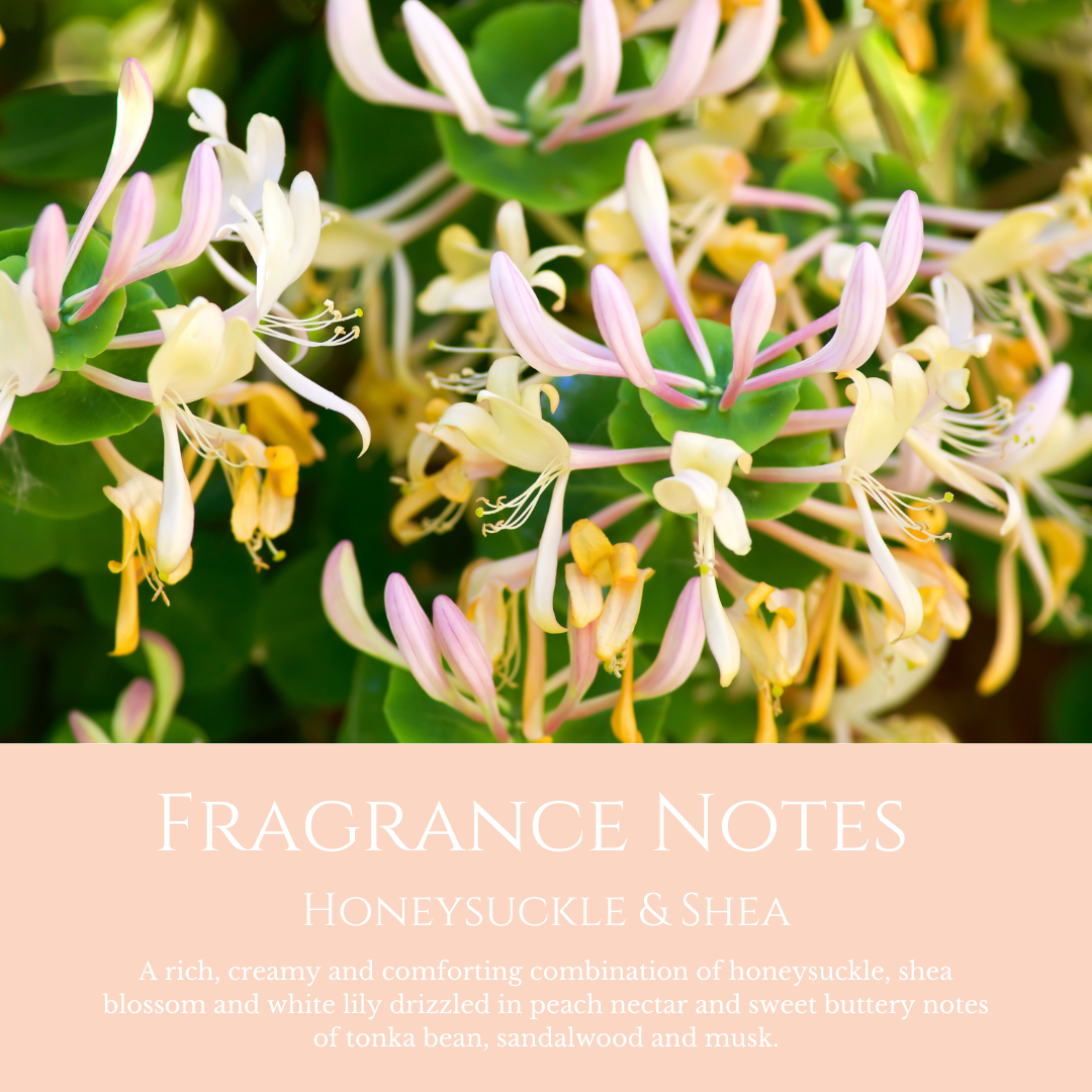 Sweetheart's Serenade: Honeysuckle & Shea - Room Diffuser