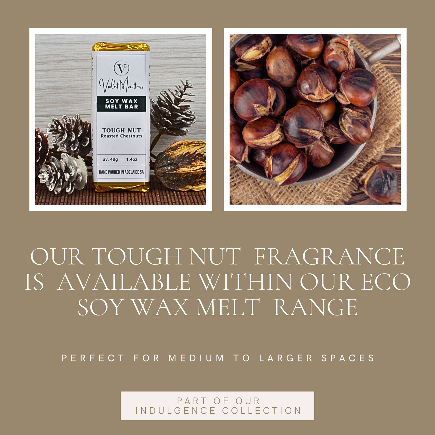 Tough Nut: Roasted Chestnuts - Eco Soy Wax Melt