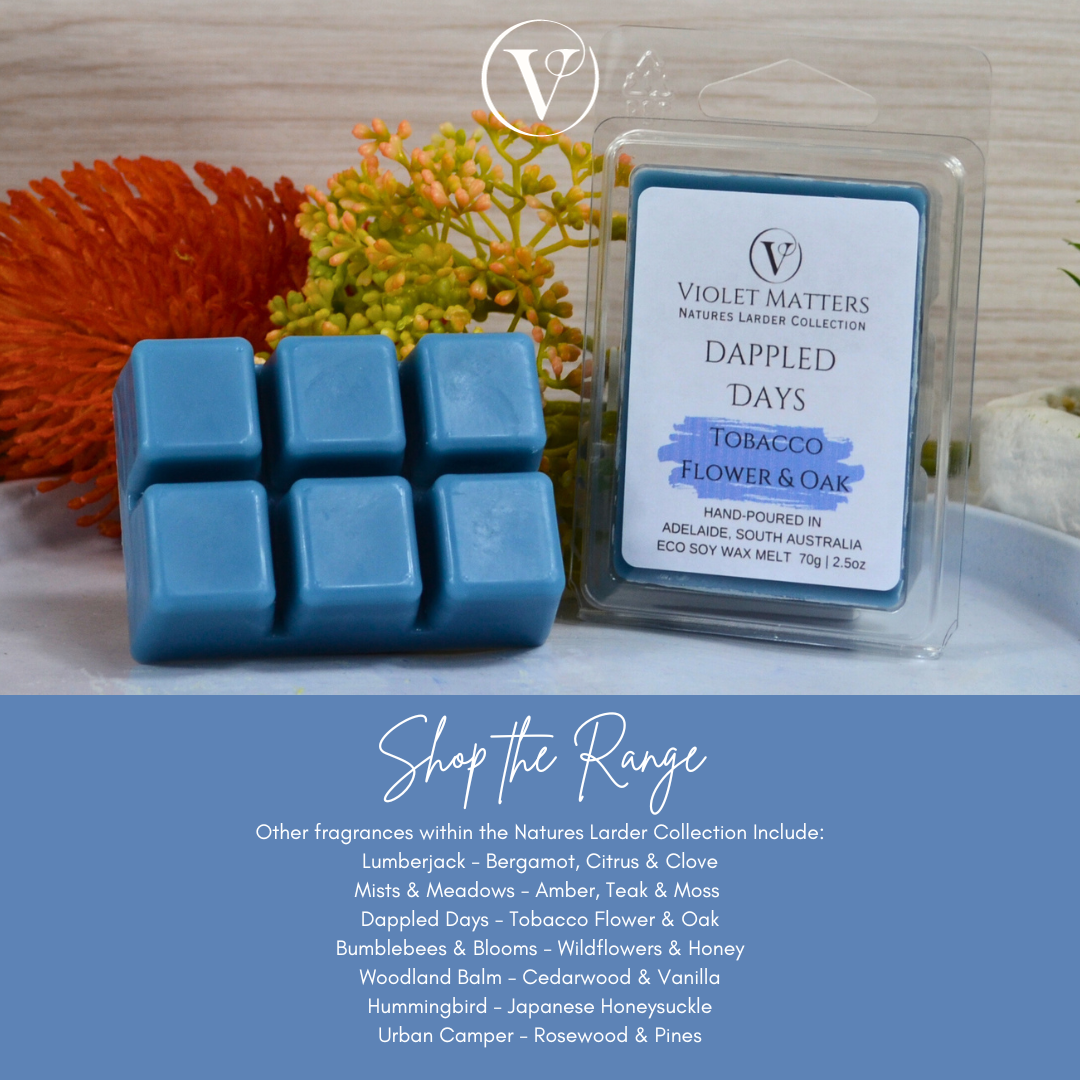 Better Homes & Gardens Aromatherapy Essential Oil Infused Wax Melts - 2.5  OZ - 4 Pack (Sandalwood 